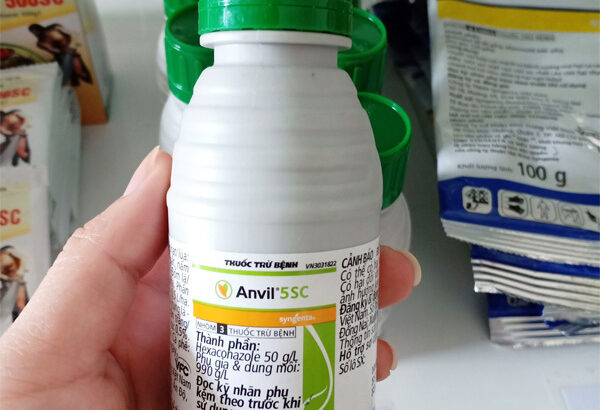 Anvil 5SC – Thuốc Trị Bệnh Rỉ Sắt (100 ml)