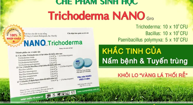 Hướng dẫn cách ủ phân Cá bằng nấm đối kháng trichoderma