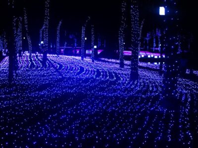 Nửa triệu bóng đèn lung linh ở công viên Sài Gòn