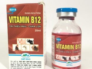 Giải độc cho lan hiệu quả – B12