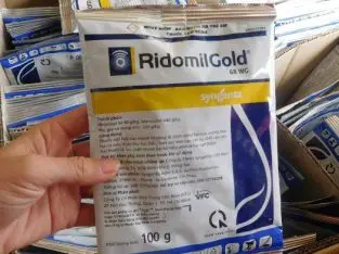 Ridomil Gold 68WG 100g – Thuốc trừ nấm dành cho hoa lan