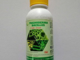 Trichoderma bacillus – Ức chế nấm, vi khuẩn, tuyến trùng
