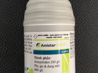 Thuốc Amistar 250SC thuốc trừ bệnh syngenta