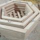 Chậu Gỗ Lục Giác Trồng Hoa Lan Phi 20-25