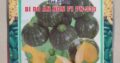 Hạt Giống BÍ ĐỎ ĂN NON PN 333