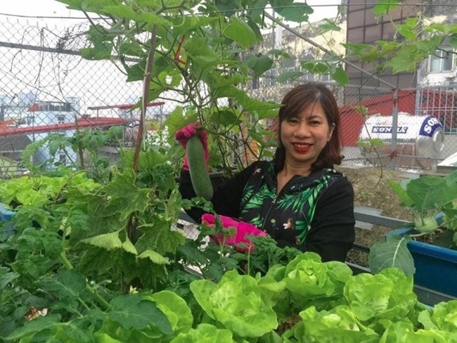 Chị Quách Nhịp (Hà Nội) đang chăm sóc vườn rau của mình