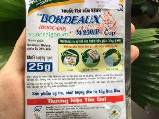 Bordeaux M 25WP Cọp trừ bệnh sương mai hại cà chua