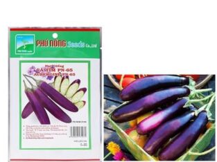 Hạt giống Cà Tím Phú Nông pn-65