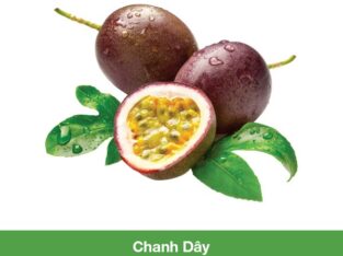 Hạt giống Chanh Dây RADO 638 trồng chanh dây