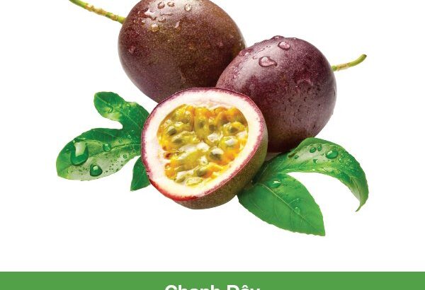 Hạt giống Chanh Dây RADO 638 trồng chanh dây