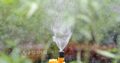 Đầu tưới phun sương Vari Mist Jets