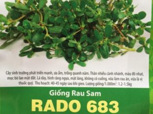 Hạt Giống Rau Sam RADO 683 trồng rau sam