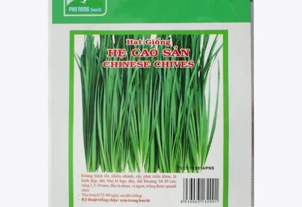 Hạt giống hẹ cao sản PN