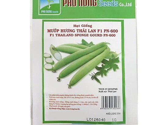 Hạt giống mướp hương Thái Lan F1 PN