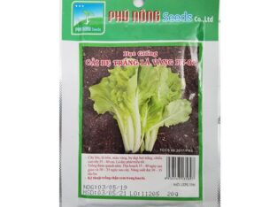 Hạt giống cải bẹ trắng lá vàng Phú Nông