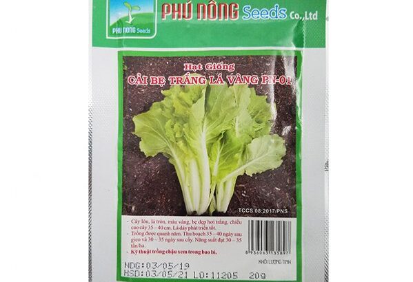 Hạt giống cải bẹ trắng lá vàng Phú Nông