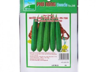 Hạt Giống Mướp Khía Phú Nông