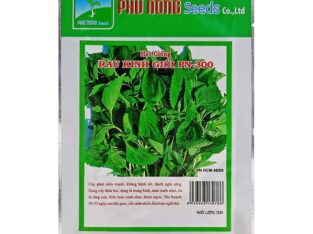Hạt giống rau kinh giới PN-300 2gr