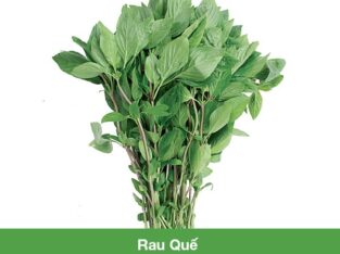Hạt Giống Rau Quế Rau Húng Quế RADO 25