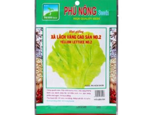 Hạt giống xà lách vàng cao sản Phú Nông