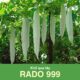 Hạt giống Khổ Qua Tây RADO 999 trồng khổ qua tây