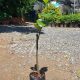 Cây giống Mít Thái siêu sớm gốc dưới 1.0 cm