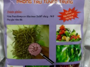 Nấm Tím Paecilomyces Lilacinus gói 1kg – trừ tuyến trùng hiệu quả nhất