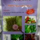 Nấm Tím Paecilomyces Lilacinus gói 1kg – trừ tuyến trùng hiệu quả nhất