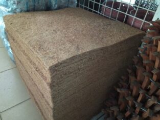 Bán thảm xơ dừa trồng lan 50x50x1,2