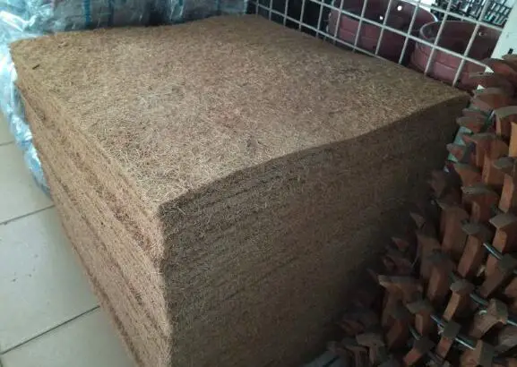 Bán thảm xơ dừa trồng lan 50x50x1,2