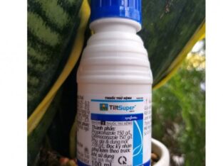 Tilt Super 300EC Thuốc trừ bệnh Syngenta