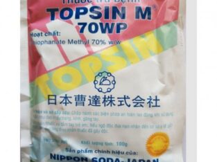 Thuốc trừ bệnh TOPSIN M 70WP 100g